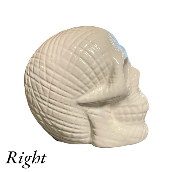 Color Changing Light-Up LED Skull - Picture 7 of 9